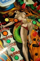 Image # 60153: Zira Playfield - Detail 
(Serial number 458.)