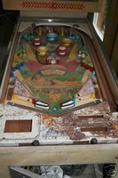 Image # 32015: Messalina Playfield