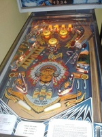 Image # 13067: Shooting the Rapids Playfield