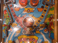 Image # 83649: Bird Man Middle Playfield