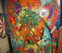 Image # 59370: Black Fever Middle Playfield