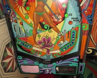 Image # 59371: Black Fever Lower Playfield