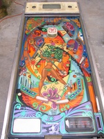 Image # 59368: Black Fever Playfield