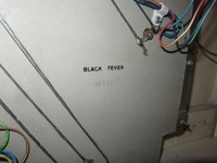 Image # 60597: Black Fever Stamped Number - Backbox Insert 
(Number 1000017.)