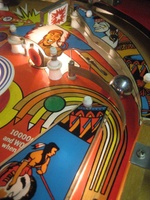 Image # 39391: Big Hunt Illuminated Playfield - Detail