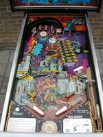 Image # 33058: Dark Shadow Playfield