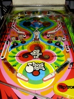 Image # 47573: Flower's Child Playfield