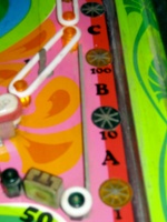Image # 47576: Flower's Child Playfield - Detail