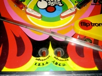 Image # 47577: Flower's Child Playfield - Detail