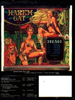 Image # 6291: Harem Cat Flyer Back