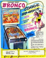 Image # 3305: Bronco Flyer