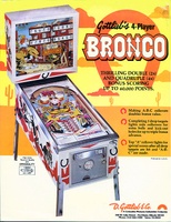 Image # 4784: Bronco Flyer