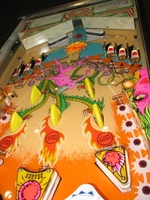Image # 69708: Dragon Playfield - Downfield View
