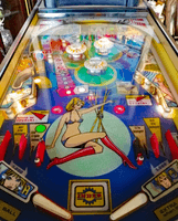 Image # 80097: Hot & Cold Playfield