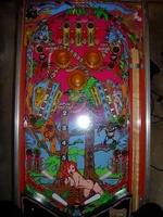 Image # 29139: Tiger Woman Playfield