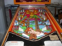 Image # 29140: Tiger Woman Playfield