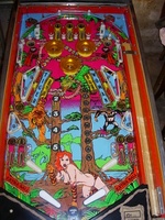 Image # 29199: Tiger Woman Playfield