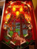 Image # 29332: Tiger Woman Illuminated Playfield