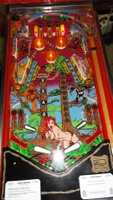 Image # 47782: Tiger Woman Playfield