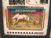 Image # 17707: Buckaroo Behind Backglass