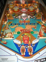 Image # 23215: Buckaroo Playfield