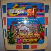 Image # 25134: Buckaroo Illuminated Backglass