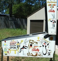 Image # 29078: Bugs Bunny's Birthday Ball Cabinet Right