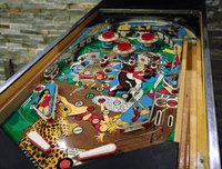 Image # 74257: Bloody China Playfield