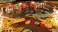 Image # 74258: Bloody China Playfield