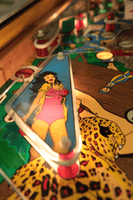 Image # 74268: Bloody China Playfield - Detail