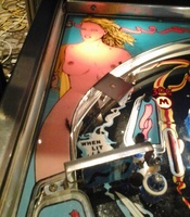 Image # 66294: Miss World Playfield Plastic