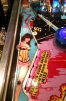 Image # 66297: Miss World Playfield Plastic