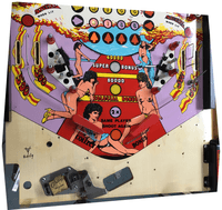 Image # 75744: Miss World Stripped Lower Playfield