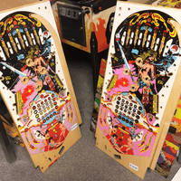 Image # 75747: Miss World NOS Playfields - Translucent and Transparent Inserts 
(These playfields were identified to us as New Old Stock.)