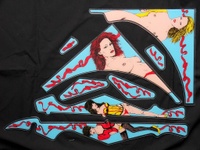 Image # 45061: Miss World Alternate Playfield Plastics