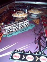 Image # 31788: Lady Death Playfield - Detail