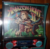 Image # 14344: Amazon Hunt II Backbox
