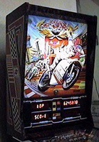 Image # 6771: 250 cc Illuminated Backbox