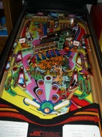 Image # 32465: Punky Willy Playfield