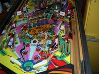 Image # 32470: Punky Willy Playfield