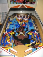 Image # 46091: The Best Jump Playfield 
(The outlanes on this game were blocked by the owner to extend playing time.)