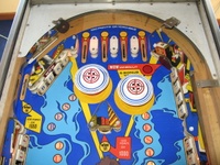 Image # 46092: The Best Jump Upper Playfield