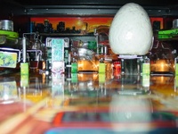 Image # 50335: The Lost World Jurassic Park Playfield - Ball View
