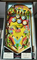 Image # 75874: Cabaret Sample Game - Playfield 
(The orange flipper rings are not original to this game. Cabinet serial number 9473.)