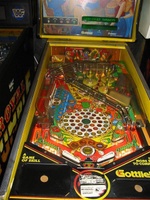 Image # 37401: Cactus Jack's Playfield