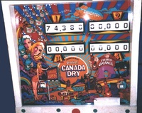 Image # 407: Canada Dry Backglass
