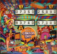 Image # 60434: Canada Dry Backglass