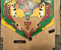 Image # 78051: Canada Dry Stripped Lower Playfield