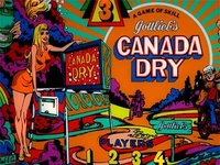 Image # 30341: Canada Dry Backglass - Detail