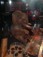 Image # 30290: The Pinball Circus Elephant